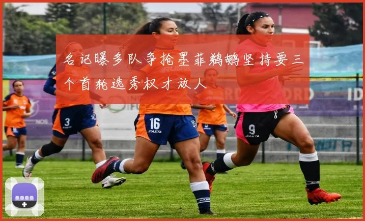 名记曝多队争抢墨菲鹈鹕坚持要三个首轮选秀权才放人
